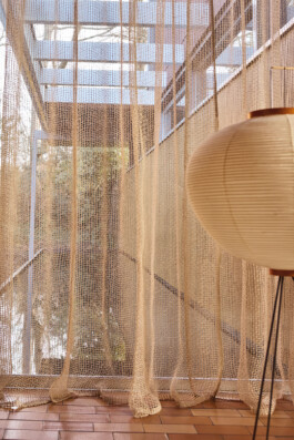 SOPHIE DRIES