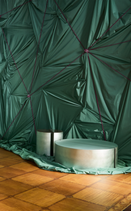 SOPHIE DRIES
